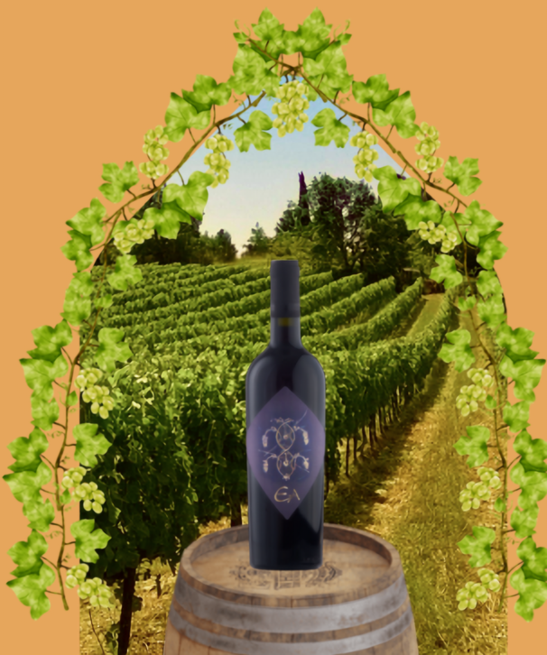 Arco di vite con bottiglia di vino