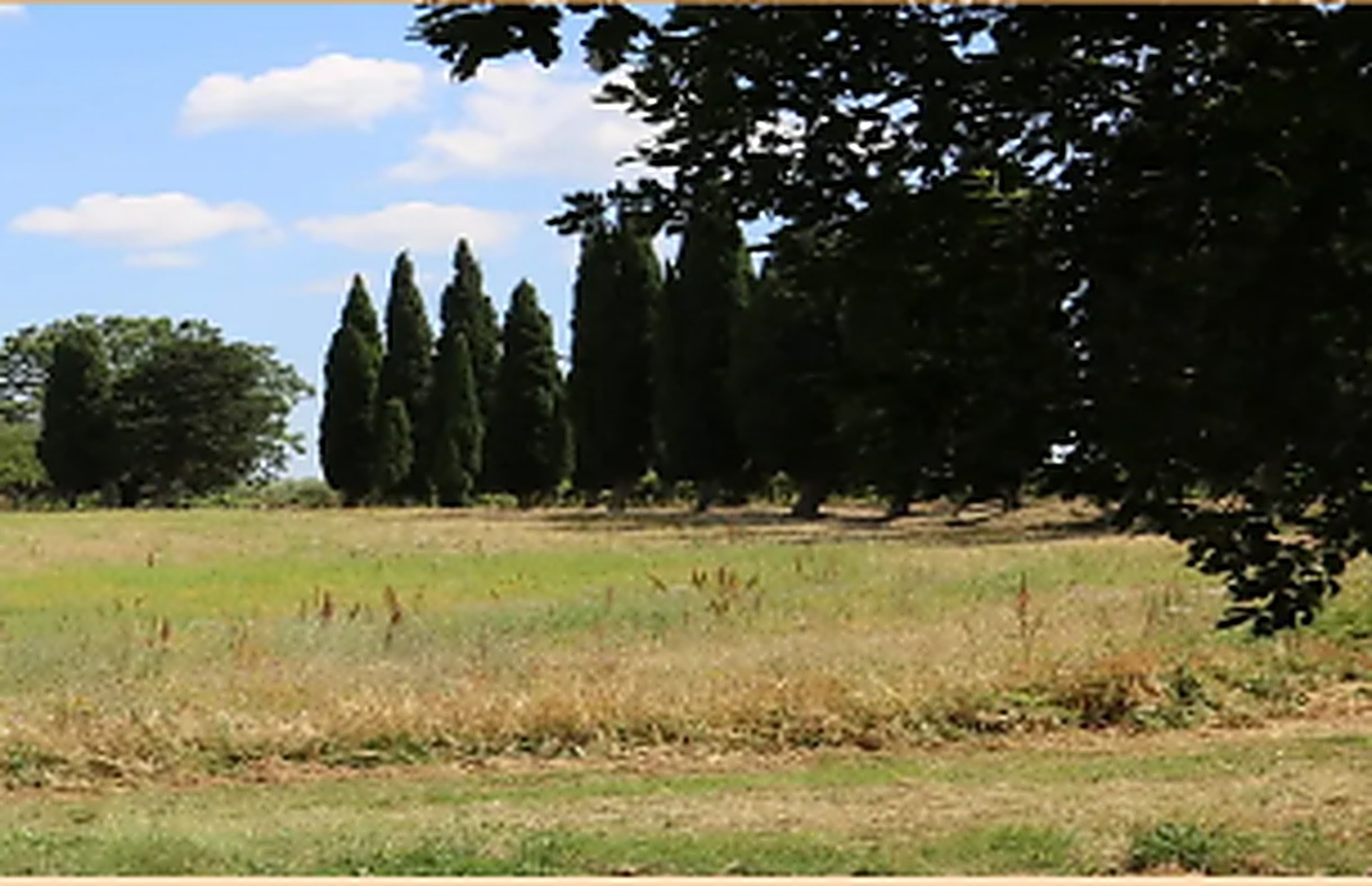 Degustazione vino in podere